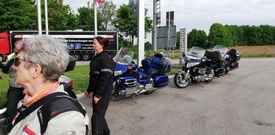 IMG_20250515_082451.jpg