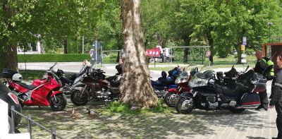 IMG_20250516_115034.jpg