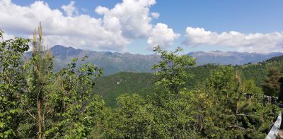 IMG_20250517_104007.jpg