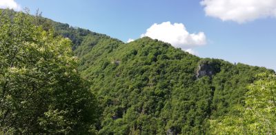 IMG_20250517_104210.jpg