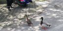 IMG_20250516_114956.jpg